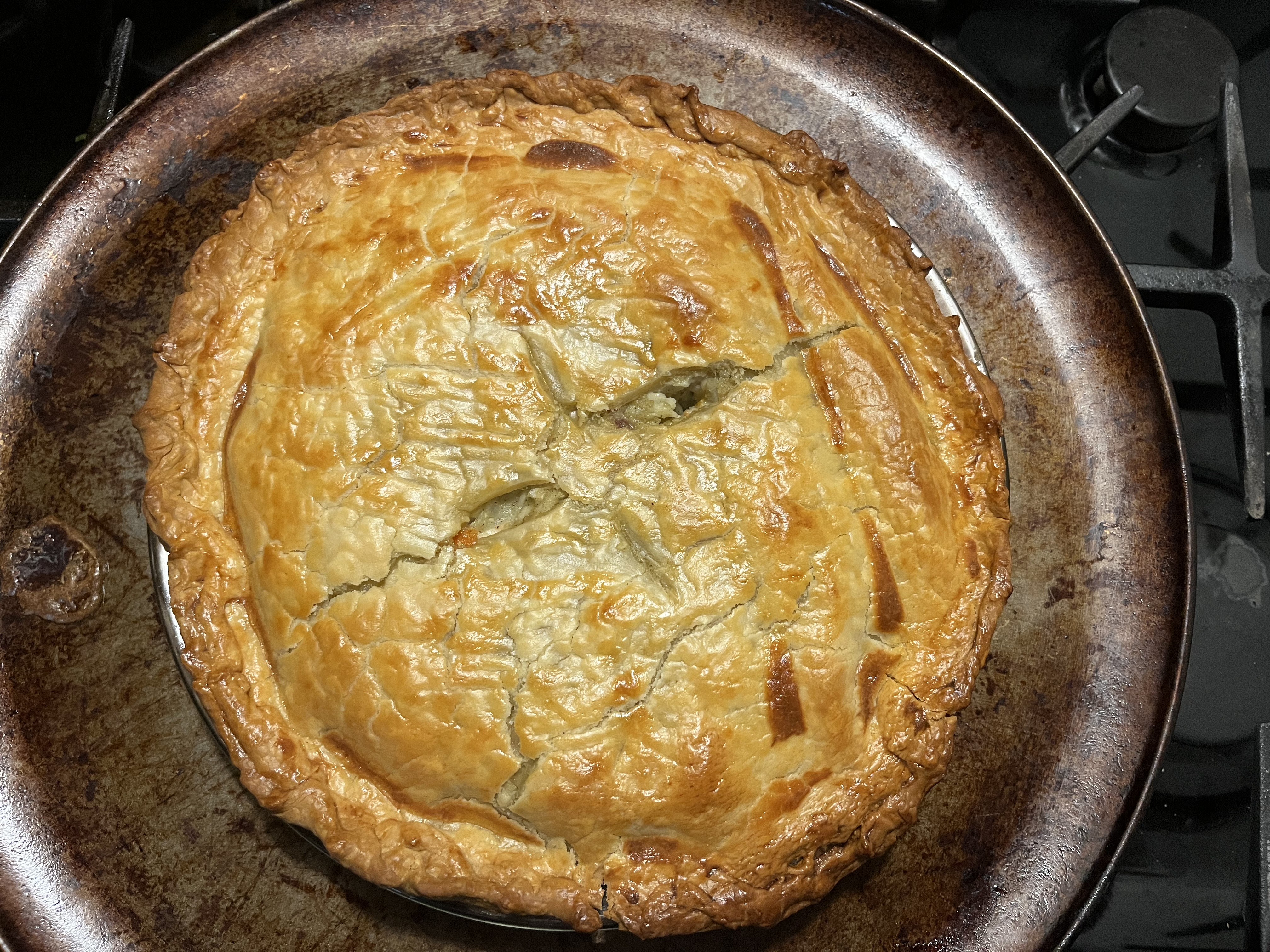 User's cooked dish photo