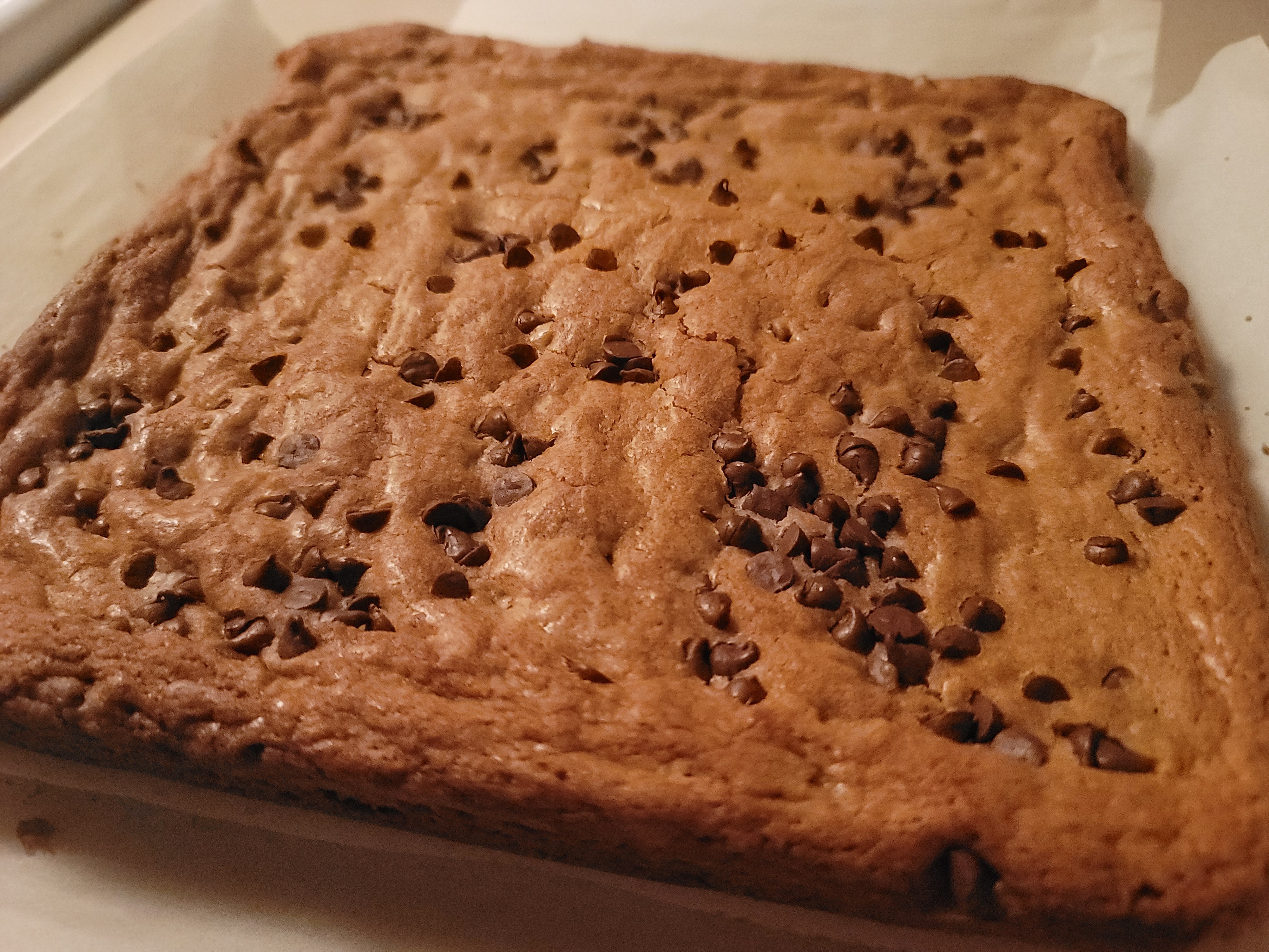 User's cooked dish photo