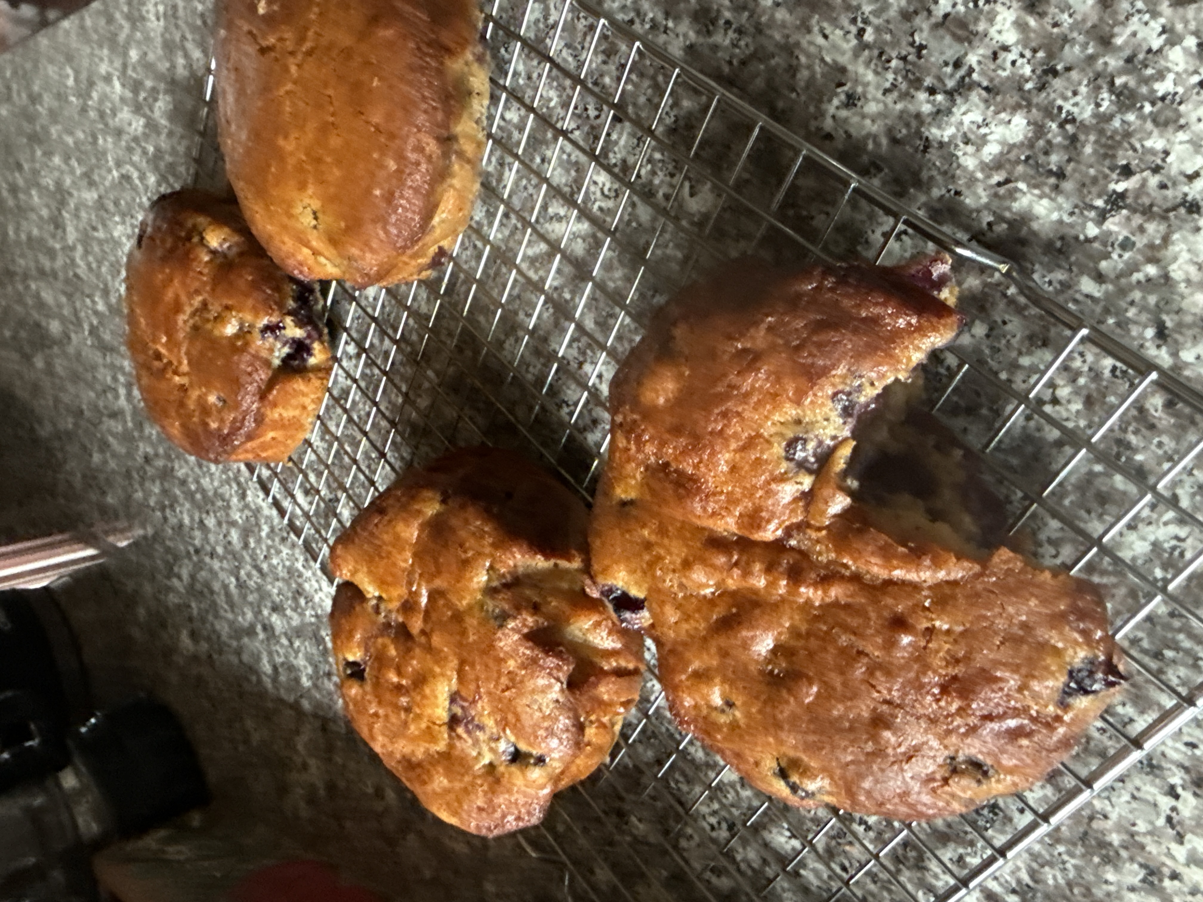 User's cooked dish photo